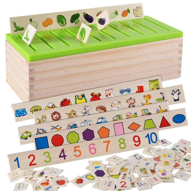 Math and Classification Sorter Math and Classification Sorter